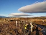 The Kyle of Sutherland Fisheries Trust has been awarded grants to plant trees in its catchments in order to keep watercourses cool.