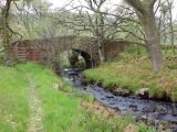 Woodland Trust Voluntary Warden Saddhavati Monahan reflects on the Trust’s new aqcuisition in Spinningdale, its connections with the Carnegie family and rich past
