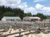 In the previous articles we have looked at the history and the law. This time we will look at the agriculture of crofting and how it differs from farming.