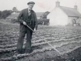 Back in the 1940s, the back-breaking hoeing of the turnip was made into a competition, alternating each year between The Poplars and Invercharron farms.