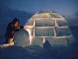 Photographer couple Cherry & Bryan Alexander have been travelling to the polar regions for the last 49 years.