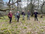 In May, we welcomed Piers Voysey, senior woodland officer with Community Woodlands Association, for a return visit to our woodland.