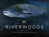 A community screening of the documentary Riverwoods: An Untold Story followed by a Q&A session was held at Bonar Bridge Hall in March.