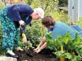 After a great deal of hard work from the KoSDT staff and volunteers, the Community Kitchen Garden in Bonar Bridge was officially opened