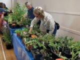 Did you know that we have several groups who regularly meet for sport, music, crafting, and kiddies? Please do have a look at our website for more info.