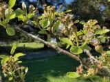 Planet Sutherland’s tips for this summer include water-saving measures